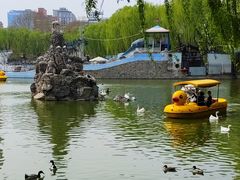 -团结湖公园