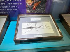 -上海昆虫博物馆