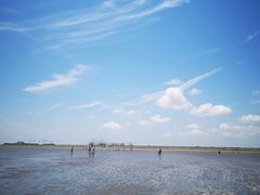 -南汇嘴观海公园