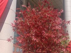-西北轻工批发市场