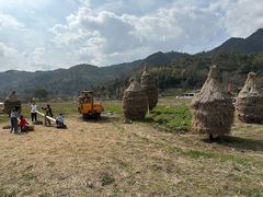 -楠溪江风景名胜区