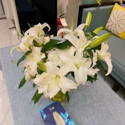 -静博士·养生养颜