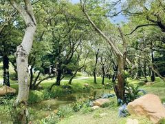 -人民公园(罗湖区)