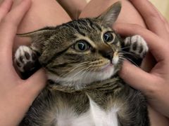 -爱诺耐芙动物医院(万博店)