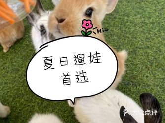 北京遛娃首选的亲子动物园团购优惠多多