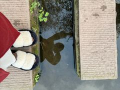-重庆彩云湖湿地公园