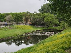 -黛秀湖公园