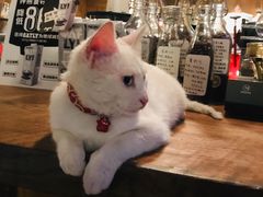 -新月集庭院咖啡馆(老邮局店)