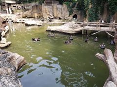-燕塞湖鸟语林景区