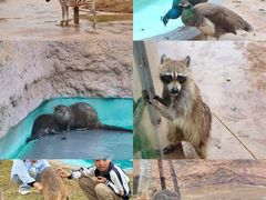 -福州罗源湾海洋世界旅游区