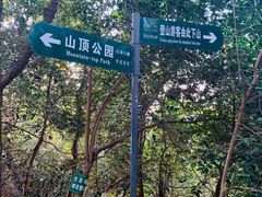 -紫金山山顶公园