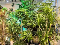 -双季花艺园艺市场(浦东店)