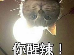 -权品·权金城沐浴连锁(良乡店)