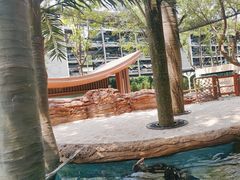 -广州海洋馆