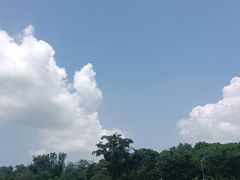 -昆山城市生态森林公园