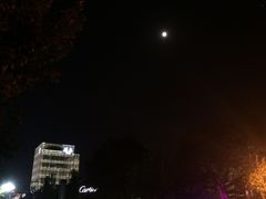 -西湖外事游船(湖滨二公园外事游船码头)