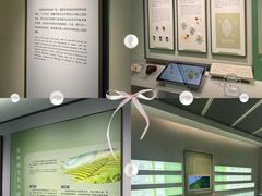 -中国茶叶博物馆(双峰馆区)