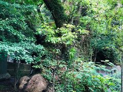 -来宫神社