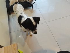 -平行世界·猫咖(首经贸店)