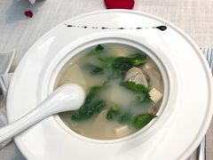 -梧桐