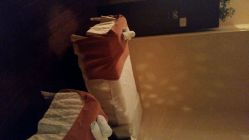 android_upload_pic-艾维庭美学SPA