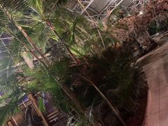 -北京瑞麟湾温泉度假酒店