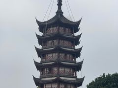 -观潮胜地公园