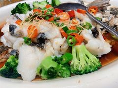 川椒海鲈鱼-富黎华海鲜大酒楼(正大广场店)