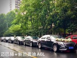 -蚂蚁婚车