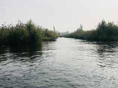 -白洋淀景区