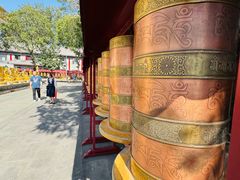 -护国法轮寺