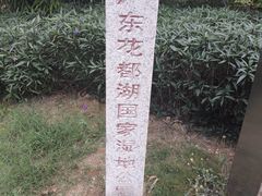 -广东花都湖国家湿地公园