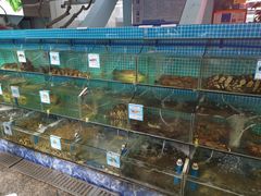 水产区-范饭椰林川湘味海鲜·椰子鸡(三亚湾椰梦长廊店)