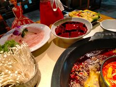 -蜀家渝重庆火锅(南屏街店)