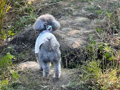 -广富林郊野公园