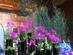 -天津君隆威斯汀酒店