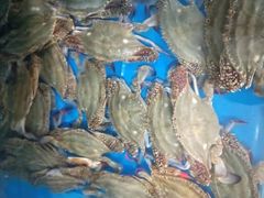 -宾朋海鲜特色美食餐厅·纯手工鲅鱼水饺(兴海路店)