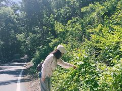 -三块石国家森林公园