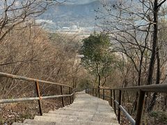 -铜陵市铜官山森林公园