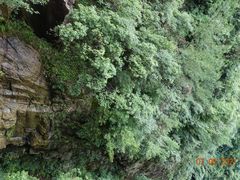 -天台山琼台仙谷景区