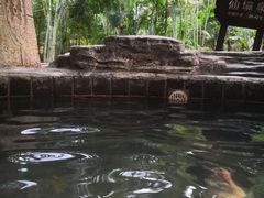 -龙达温泉生态城