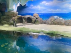 -厦门海底世界