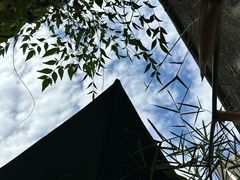 -黎里古镇