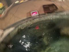 -泉城欧乐堡戏水湾艺术养生温泉