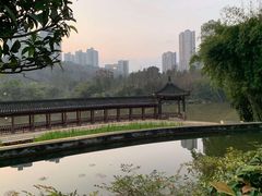 -龙头寺公园