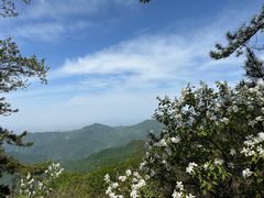 -西安祥峪森林公园
