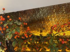 -同乐馆(阳光店)
