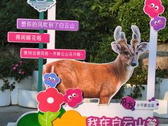 -广州市白云山风景名胜区
