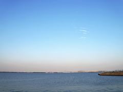 -漕湖湿地公园