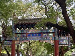 -北京国子监胡同